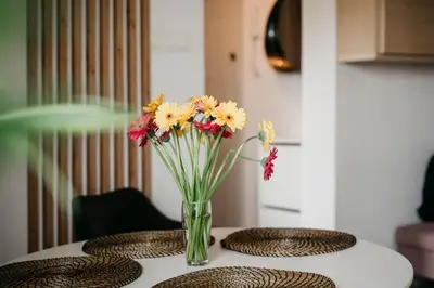 Plan piętra w obiekcie Nocosfera Apartament Górnośląski