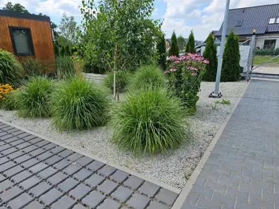 Ogród w obiekcie Wichrowe Wzgórze Lark House