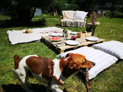 Zwierzęta zatrzymujące się w obiekcie Sielanka Aleksandria