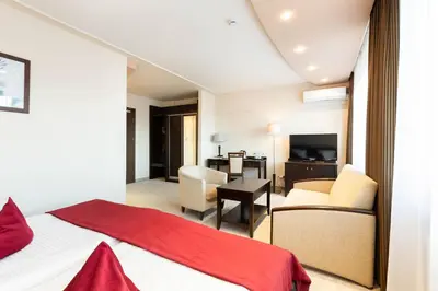 Telewizja i/lub zestaw kina domowego w obiekcie Hotel Kudowa Manufaktura Relaksu