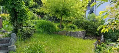 Ogród w obiekcie Jaśminowe Wzgórze