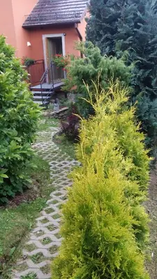 Ogród w obiekcie Noclegi U Andrzeja