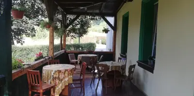 Ogród w obiekcie Willa Dunajec