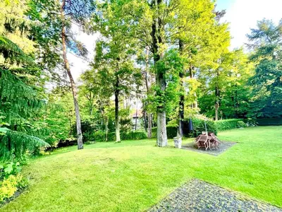 Ogród w obiekcie Villa Ola