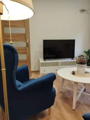 Telewizja i/lub zestaw kina domowego w obiekcie Havel Apartment