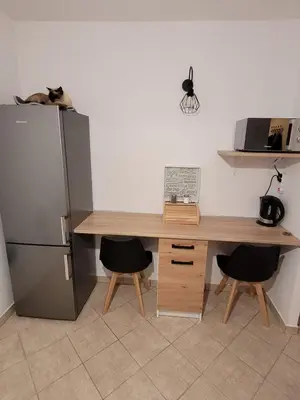 Kuchnia lub aneks kuchenny w obiekcie Apartament Leon