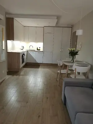 Kuchnia lub aneks kuchenny w obiekcie Apartament Manhattan