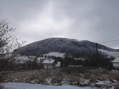 Przyroda w pobliżu tego domu wakacyjnego