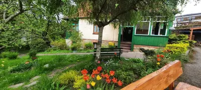Ogród w obiekcie Pokoje Gościnne u Markusa