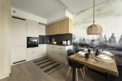 Kuchnia lub aneks kuchenny w obiekcie Apartament Bliżej Natury 2