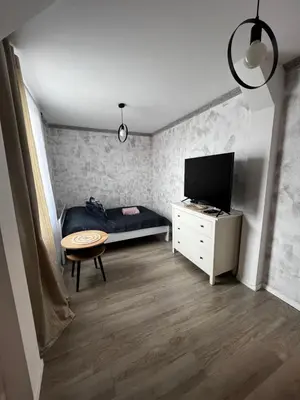 Telewizja i/lub zestaw kina domowego w obiekcie Apartamenty przy parku. Stare Miasto.