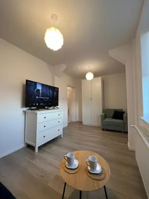 Telewizja i/lub zestaw kina domowego w obiekcie Apartamenty przy parku. Stare Miasto.