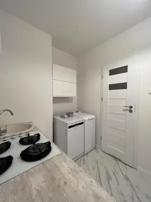 Kuchnia lub aneks kuchenny w obiekcie Apartamenty przy parku. Stare Miasto.