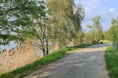 Przyroda w pobliżu tego domu wakacyjnego