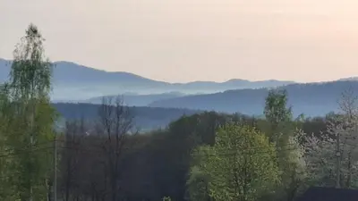 Przyroda w pobliżu tego domu w stylu alpejskim