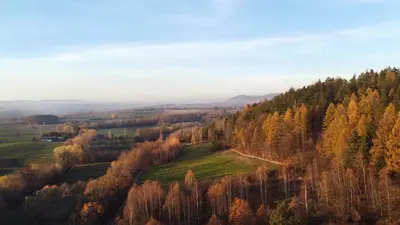 Przyroda w pobliżu tego gospodarstwa agroturystycznego