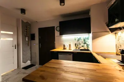 Kuchnia lub aneks kuchenny w obiekcie Zielony Apartament Gliwice