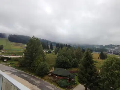 Przyroda w pobliżu tego apartamentu
