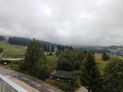 Przyroda w pobliżu tego apartamentu