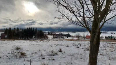 Przyroda w pobliżu tego domu w stylu alpejskim
