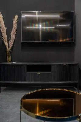 Telewizja i/lub zestaw kina domowego w obiekcie Apartament NEGRO Gliwice - nowe osiedle, klimatyzacja, parking