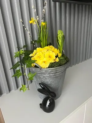 Plan piętra w obiekcie Apartamentowiec Opole