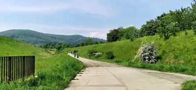 Przyroda w pobliżu tego apartamentu