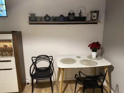Kuchnia lub aneks kuchenny w obiekcie Apartamenty Błogi Sen II- komfortowy nocleg w spokojnej lokalizacji