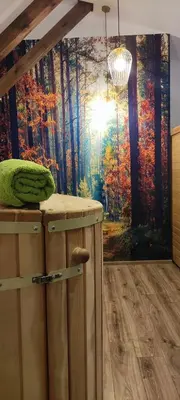Plan piętra w obiekcie Róża