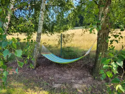 Ogród w obiekcie Dom w Górach Sowich Niedźwiedzia Gawra, Michałkowa
