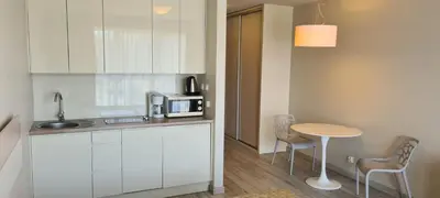 Kuchnia lub aneks kuchenny w obiekcie Apartamenty Czarna Góra S8