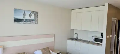 Kuchnia lub aneks kuchenny w obiekcie Apartamenty Czarna Góra S8