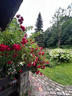 Ogród w obiekcie Roman Tarnawa 