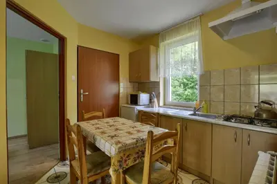 Kuchnia lub aneks kuchenny w obiekcie Roman Tarnawa 