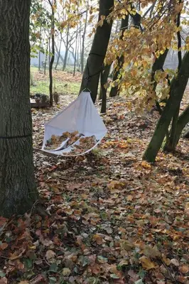 Plan piętra w obiekcie Domki Hrabiego- domek nr 2