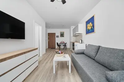 Telewizja i/lub zestaw kina domowego w obiekcie Drabika Apartment Balcony & Private Parking Wrocław by Noclegi Renters
