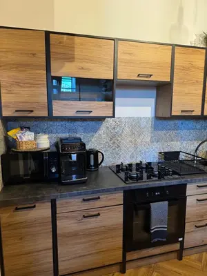 Kuchnia lub aneks kuchenny w obiekcie Dawna Mleczarnia Apartamenty LOFT