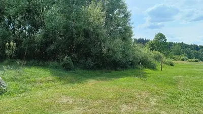 Przyroda w pobliżu tego gospodarstwa agroturystycznego