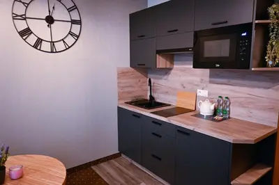 Kuchnia lub aneks kuchenny w obiekcie Zielone Apartamenty z aneksem kuchennym