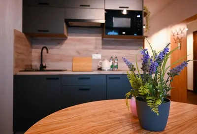 Kuchnia lub aneks kuchenny w obiekcie Zielone Apartamenty z aneksem kuchennym