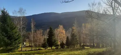Przyroda w pobliżu tego apartamentu
