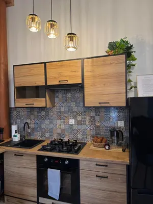 Kuchnia lub aneks kuchenny w obiekcie Dawna Mleczarnia Apartamenty MIODOWY