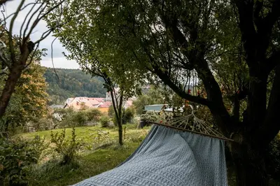 Przyroda w pobliżu tego apartamentu