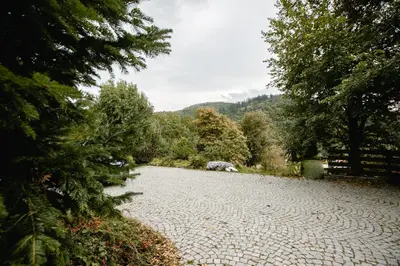 Przyroda w pobliżu tego apartamentu