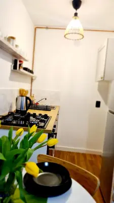 Kuchnia lub aneks kuchenny w obiekcie Apartament Boho