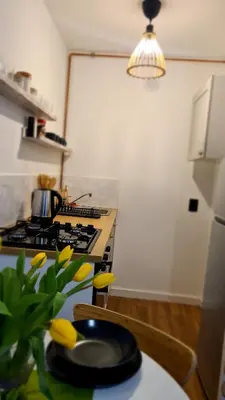 Kuchnia lub aneks kuchenny w obiekcie Apartament Boho
