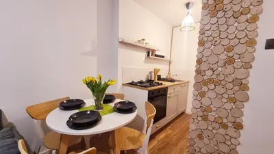 Kuchnia lub aneks kuchenny w obiekcie Apartament Boho