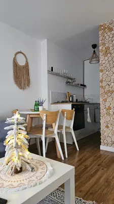 Kuchnia lub aneks kuchenny w obiekcie Apartament Boho