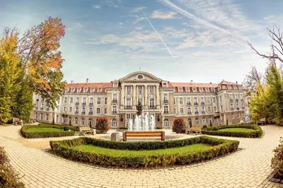 Ogród w obiekcie Apartament Przytulny