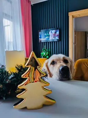 Zwierzęta zatrzymujące się w obiekcie Apartament Przytulny